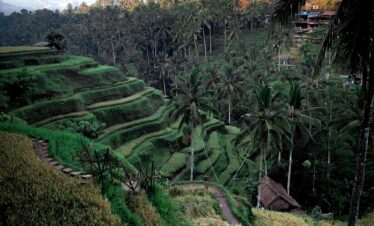 Bali 2.0